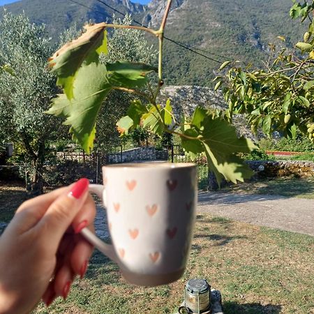 Sailor'S Rustic House Villa Virpazar Dış mekan fotoğraf