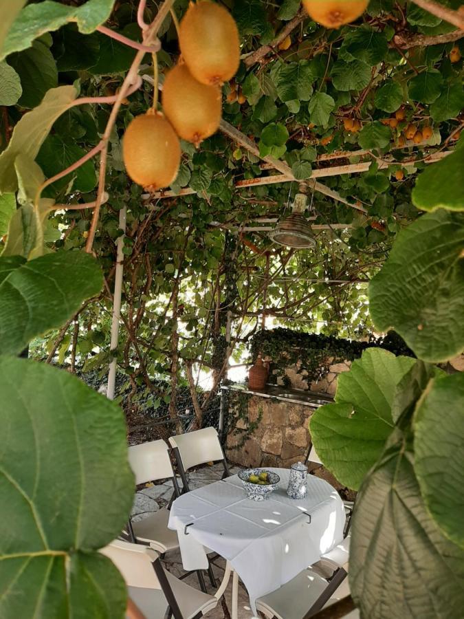 Sailor'S Rustic House Villa Virpazar Dış mekan fotoğraf