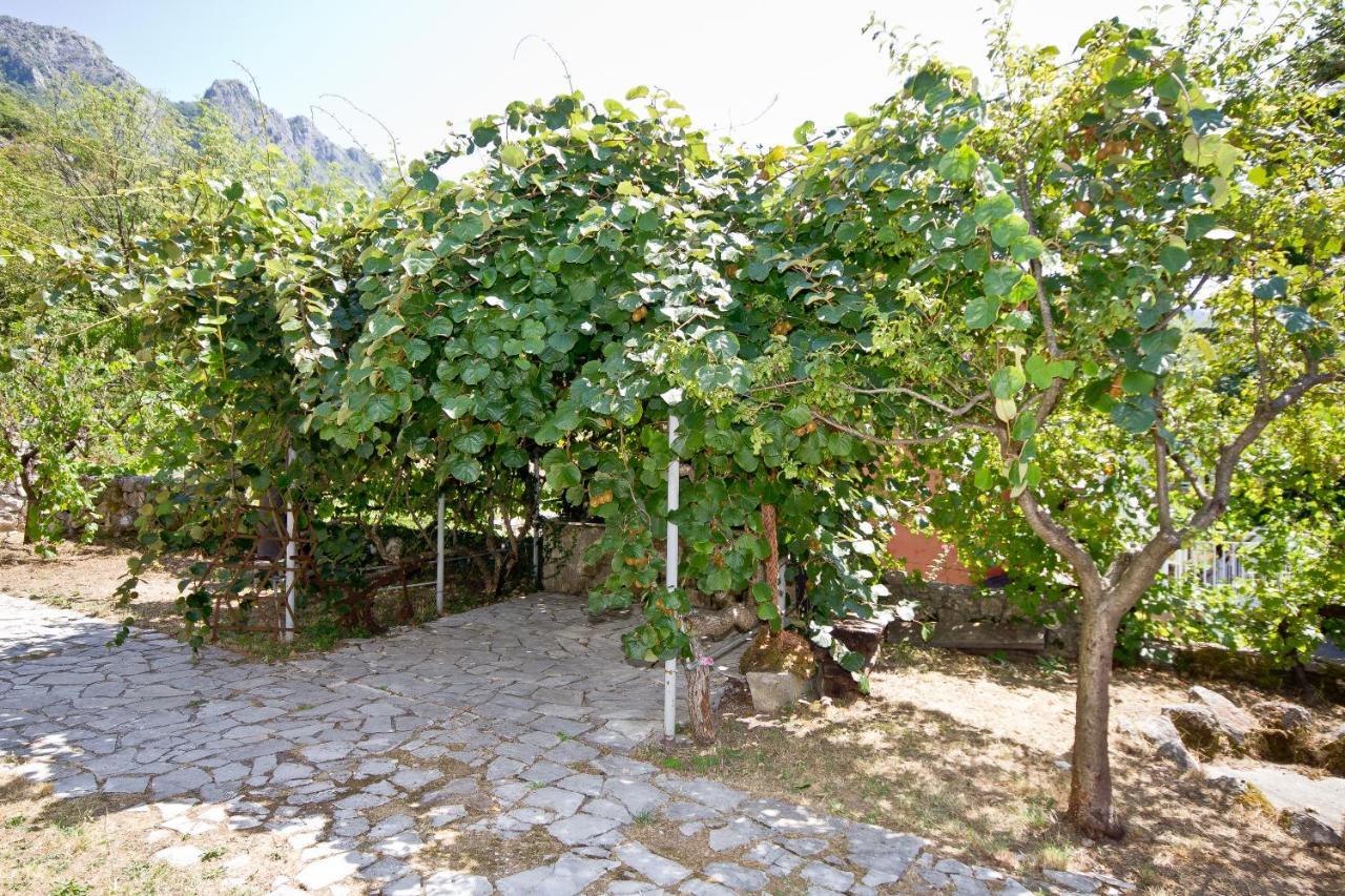 Sailor'S Rustic House Villa Virpazar Dış mekan fotoğraf
