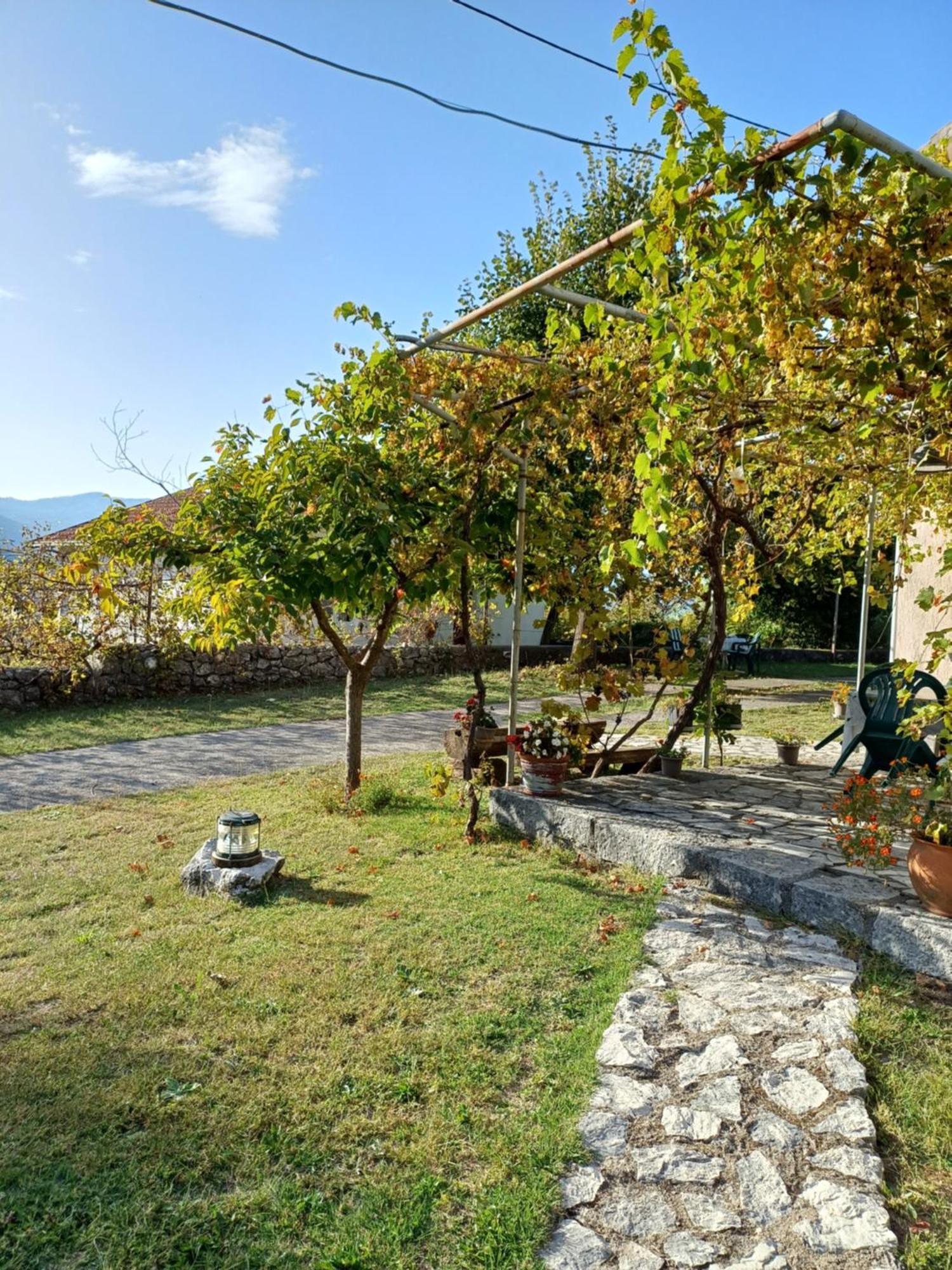 Sailor'S Rustic House Villa Virpazar Dış mekan fotoğraf