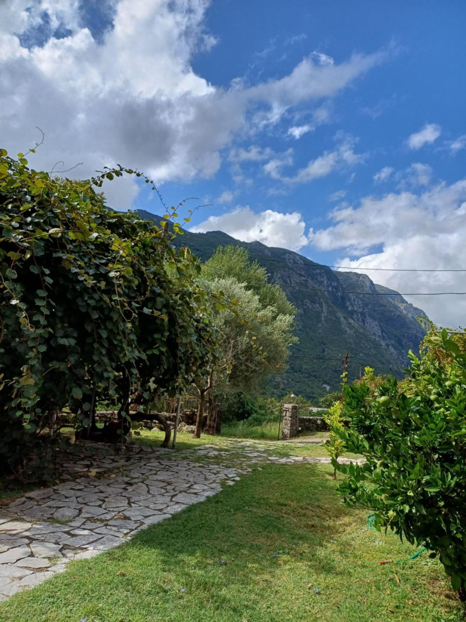 Sailor'S Rustic House Villa Virpazar Dış mekan fotoğraf