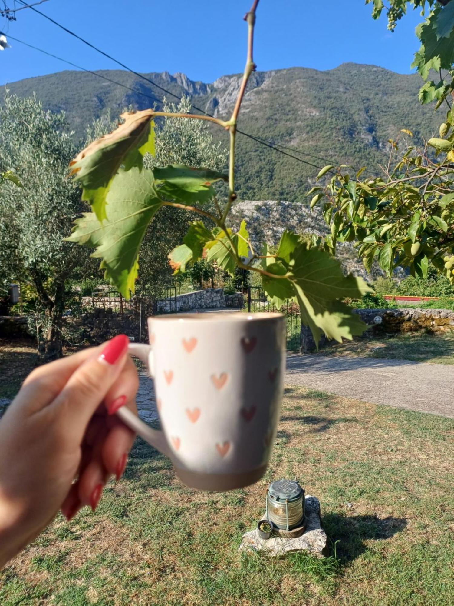 Sailor'S Rustic House Villa Virpazar Dış mekan fotoğraf